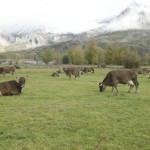 El PORN del Parque de Babia y Luna, ¿más cerca?