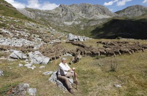 «En los puertos las ovejas cogen gracia» José Álvarez Pozal