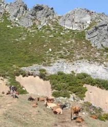 La Nueva España se hace eco del aspiraciones colonialistas asturianas